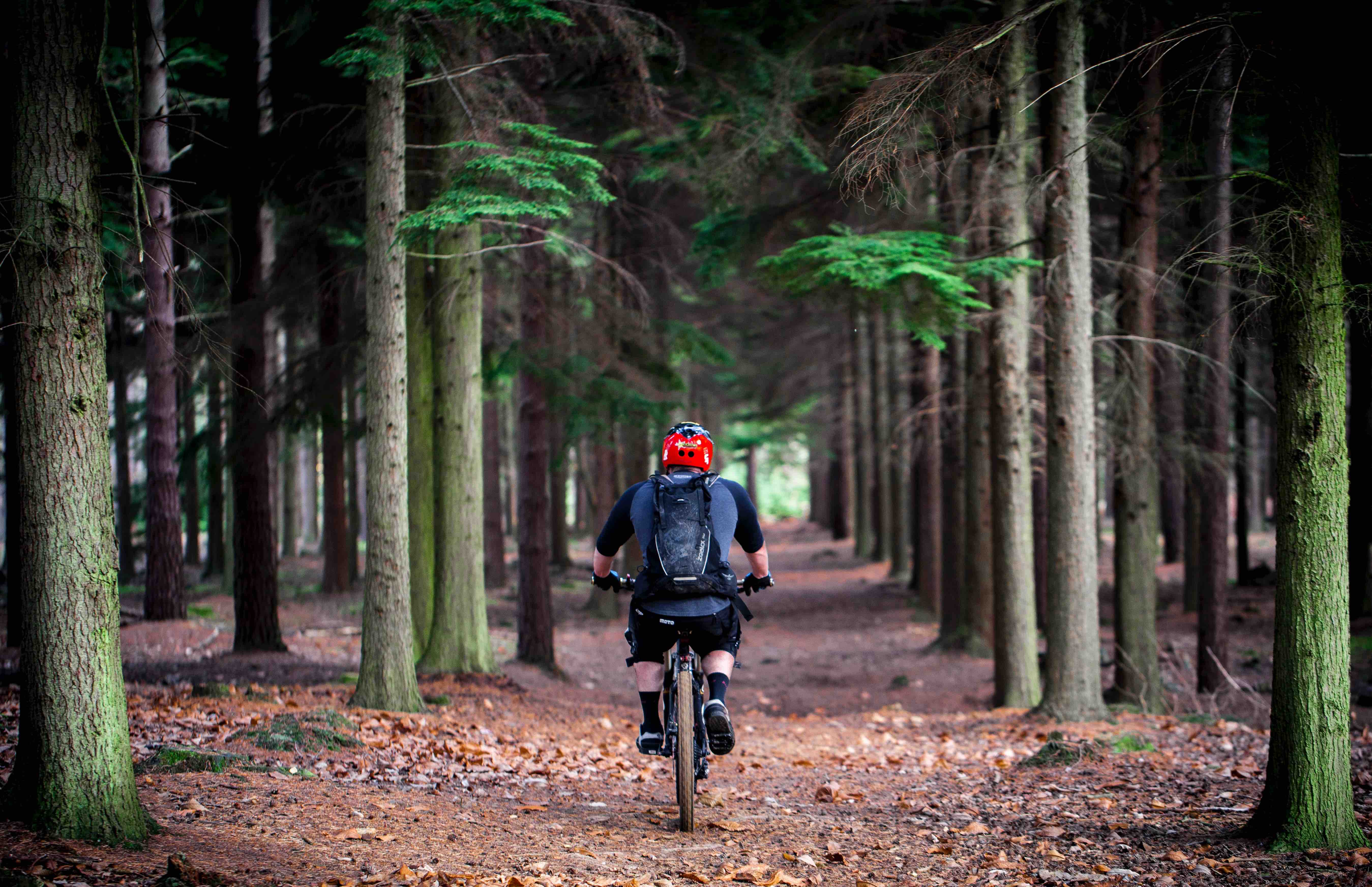 get out for a bike