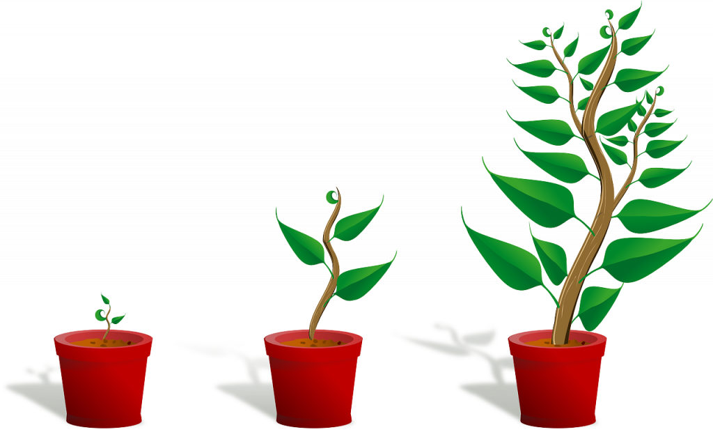 why your investments aren't growing