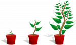 why your investments aren't growing