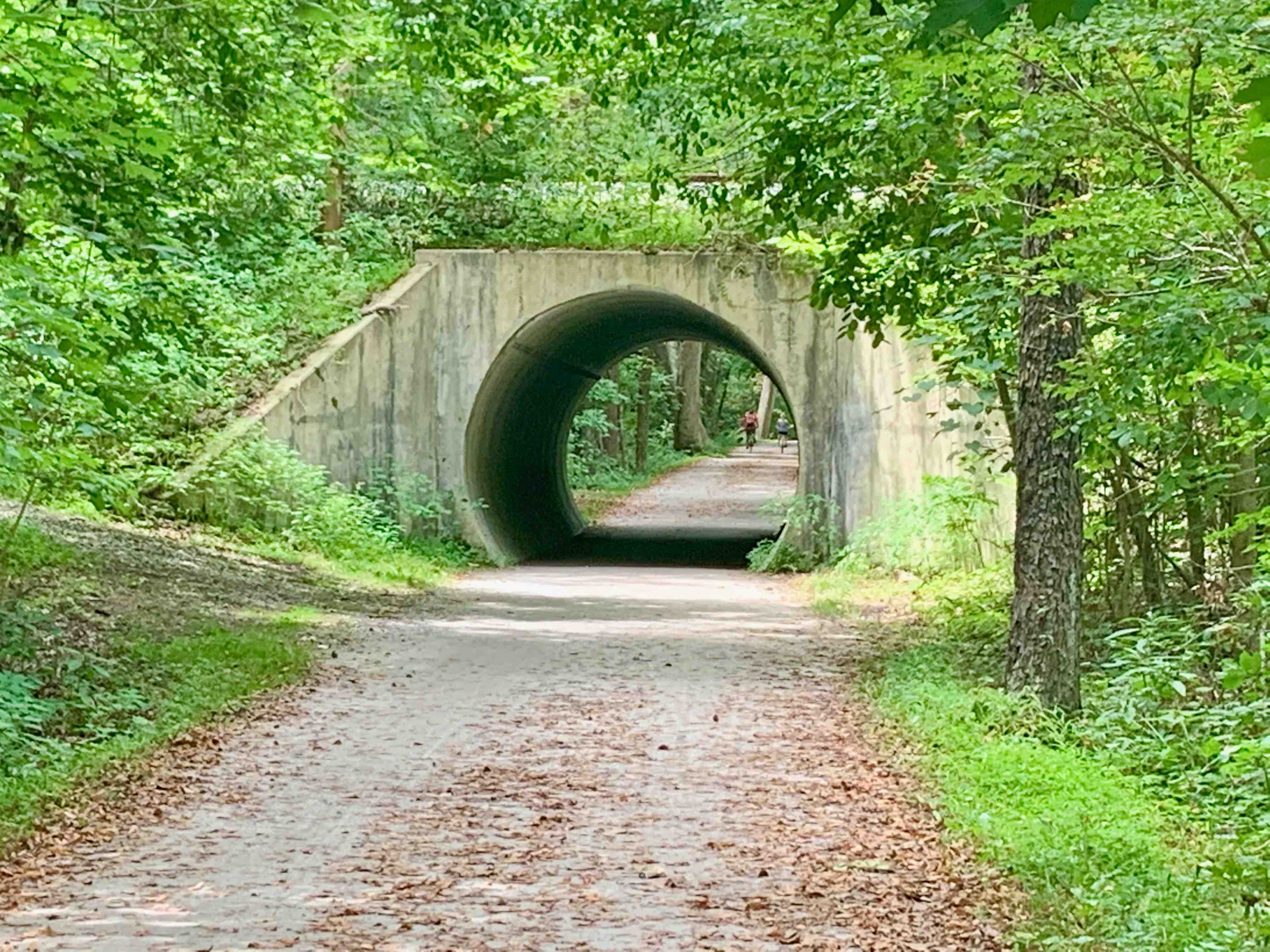 amazing bike paths in Cleveland